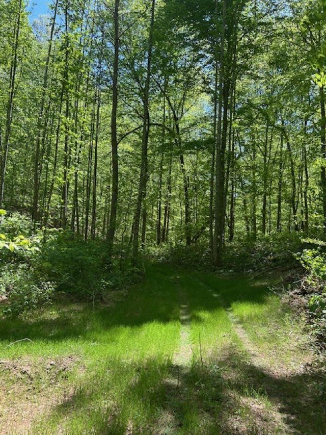 0 Greenbrier Rd Property Photo 2