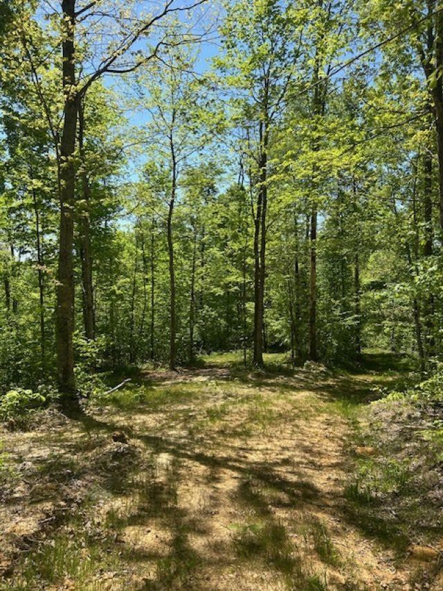 0 Greenbrier Rd Property Photo 9