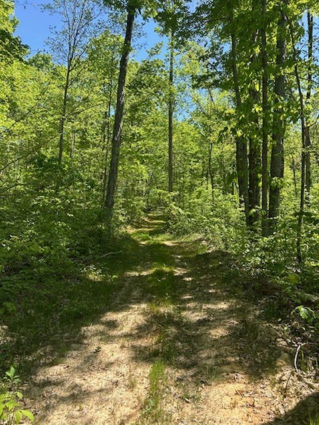 0 Greenbrier Rd Property Photo 12