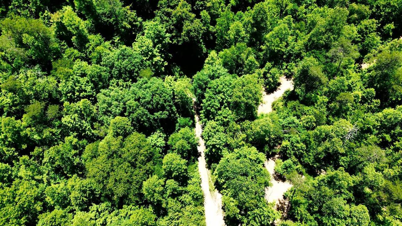 165a Open Fork Road Property Photo 5