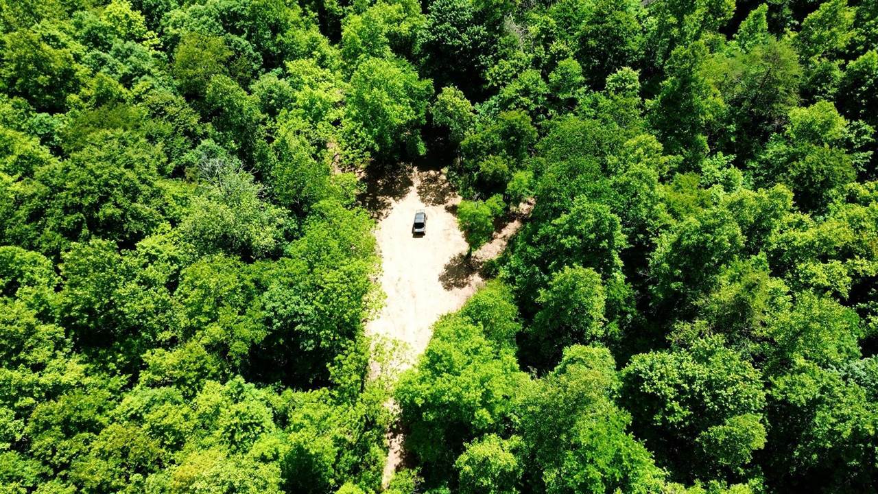 165a Open Fork Road Property Photo 6