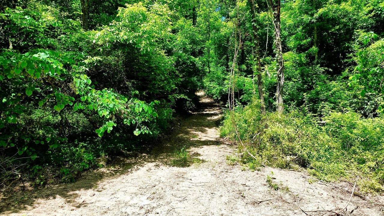 165a Open Fork Road Property Photo 7