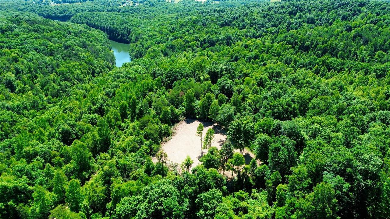 165a Open Fork Road Property Photo 10