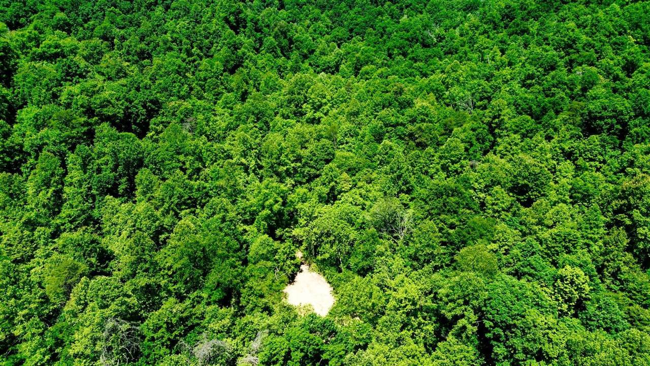 165a Open Fork Road Property Photo 11