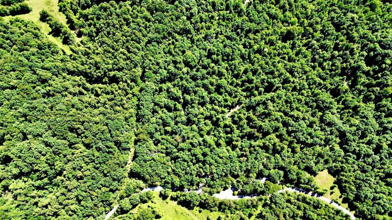 165a Open Fork Road Property Photo 15