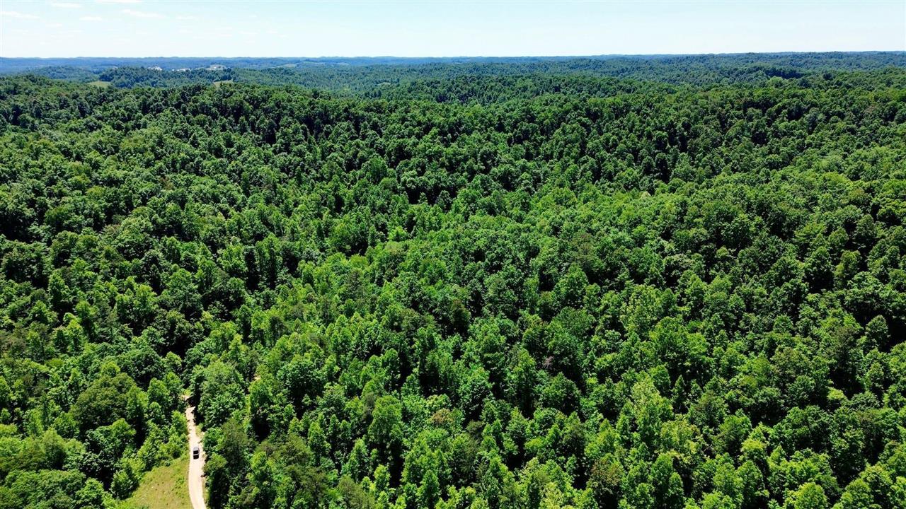 165a Open Fork Road Property Photo 16