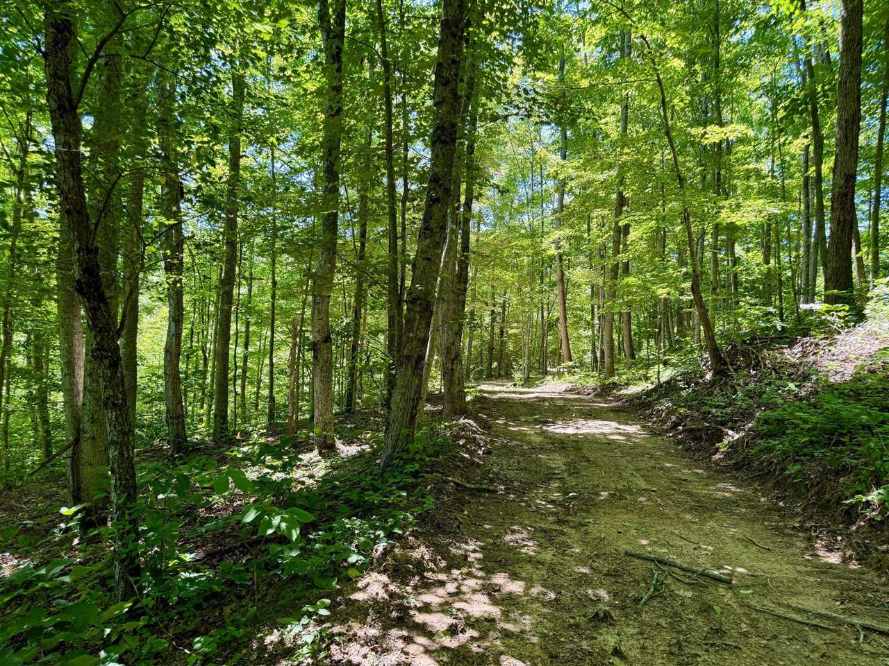 165a Open Fork Road Property Photo 26