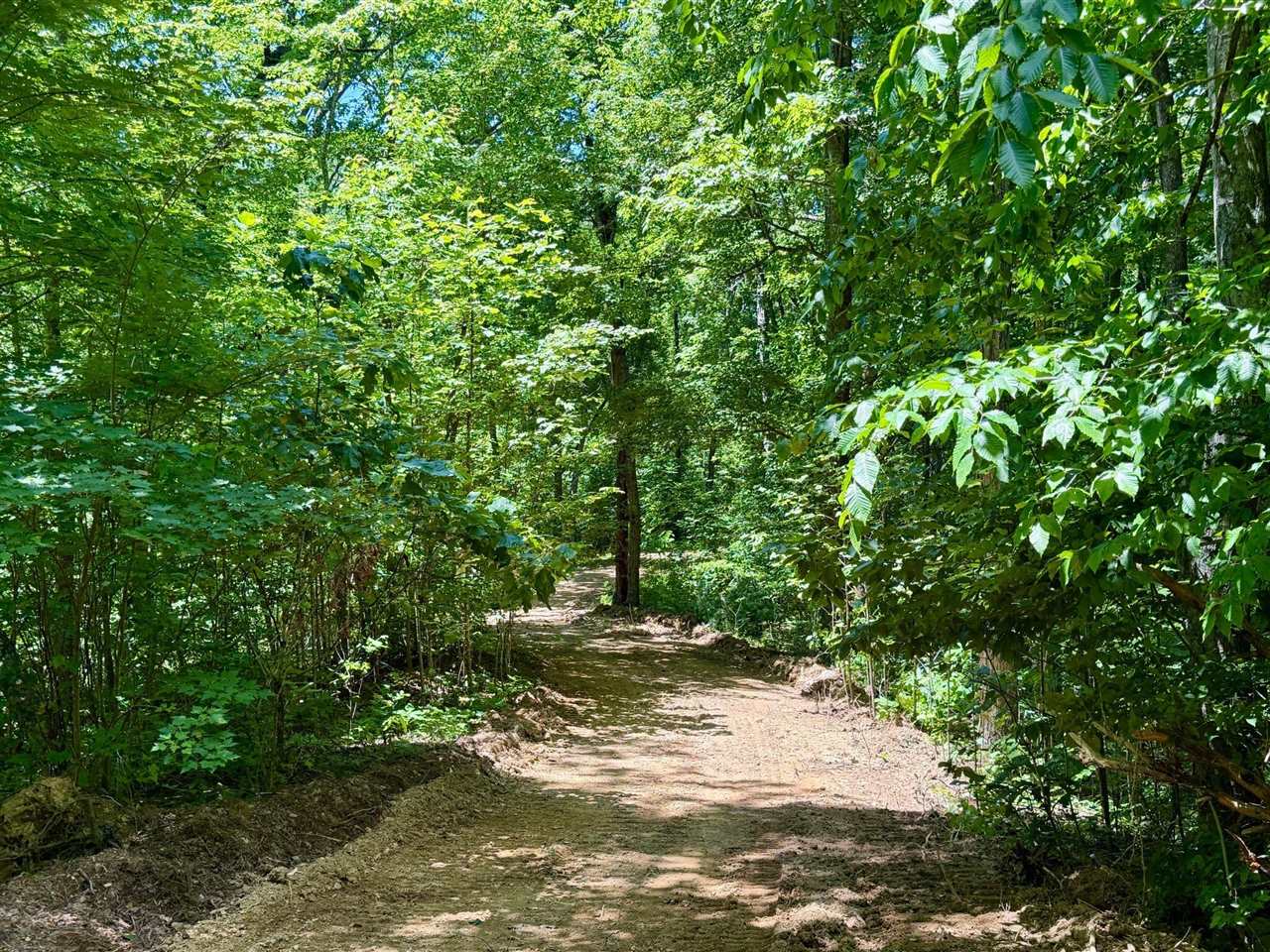 165a Open Fork Road Property Photo 27