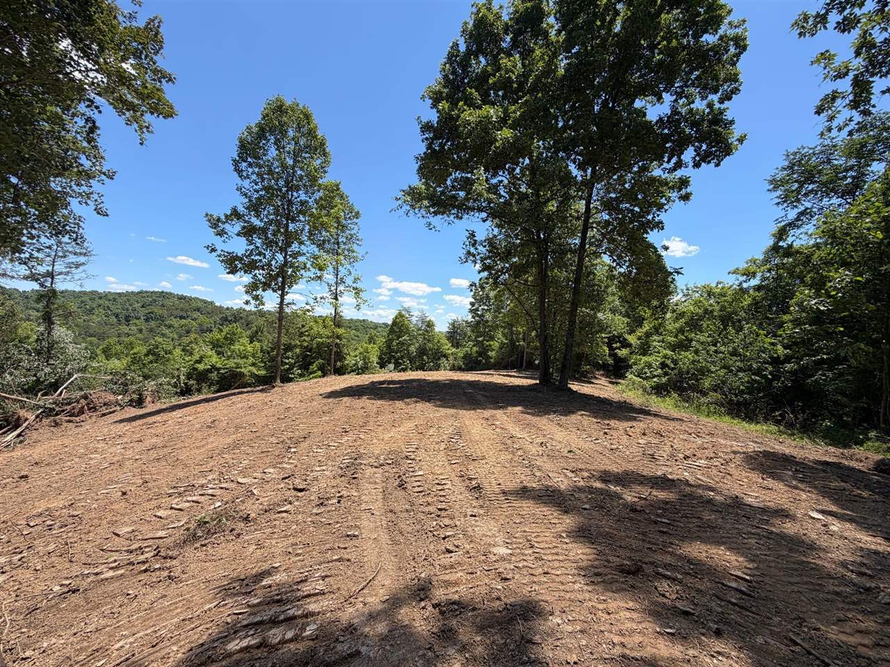 165a Open Fork Road Property Photo 29