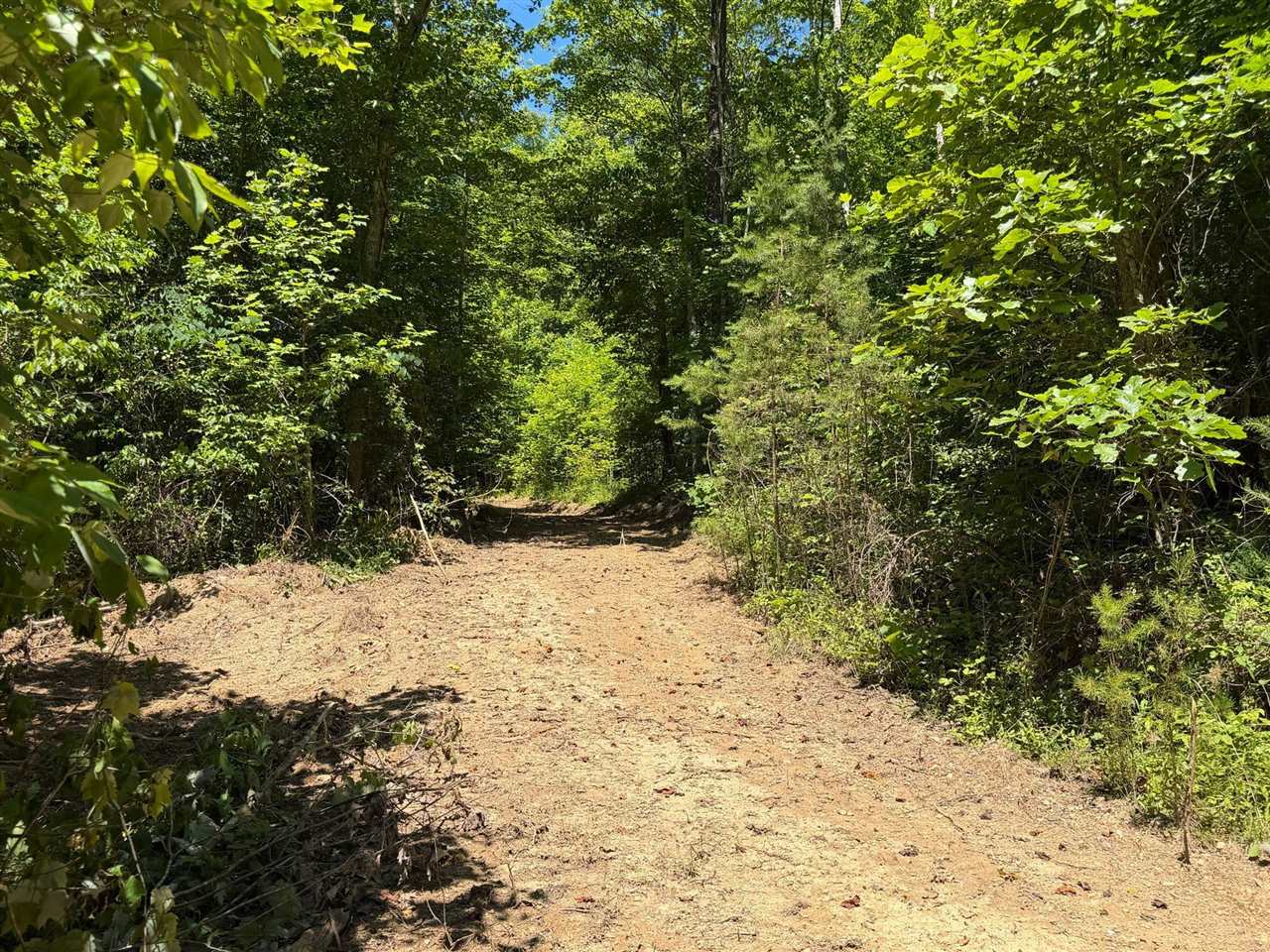165a Open Fork Road Property Photo 30