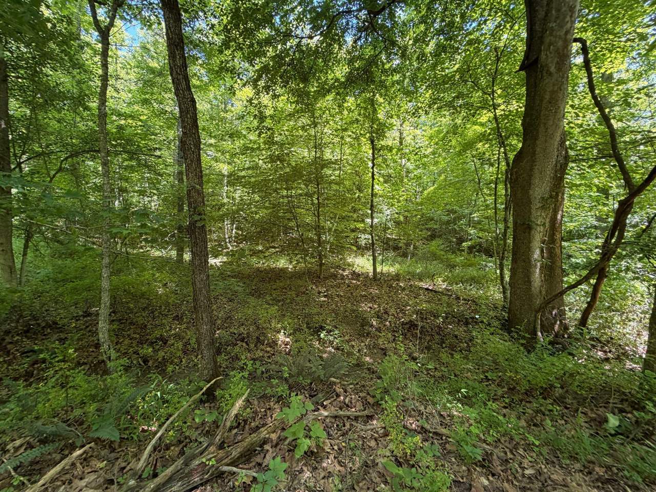 165a Open Fork Road Property Photo 37