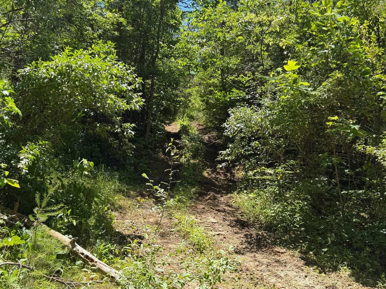 165a Open Fork Road Property Photo 38