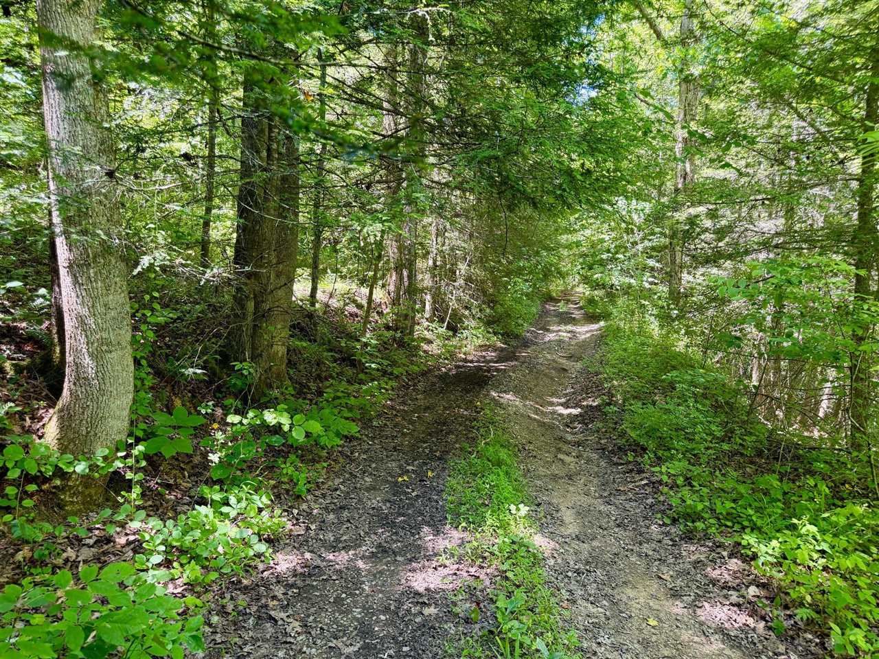 165a Open Fork Road Property Photo 47