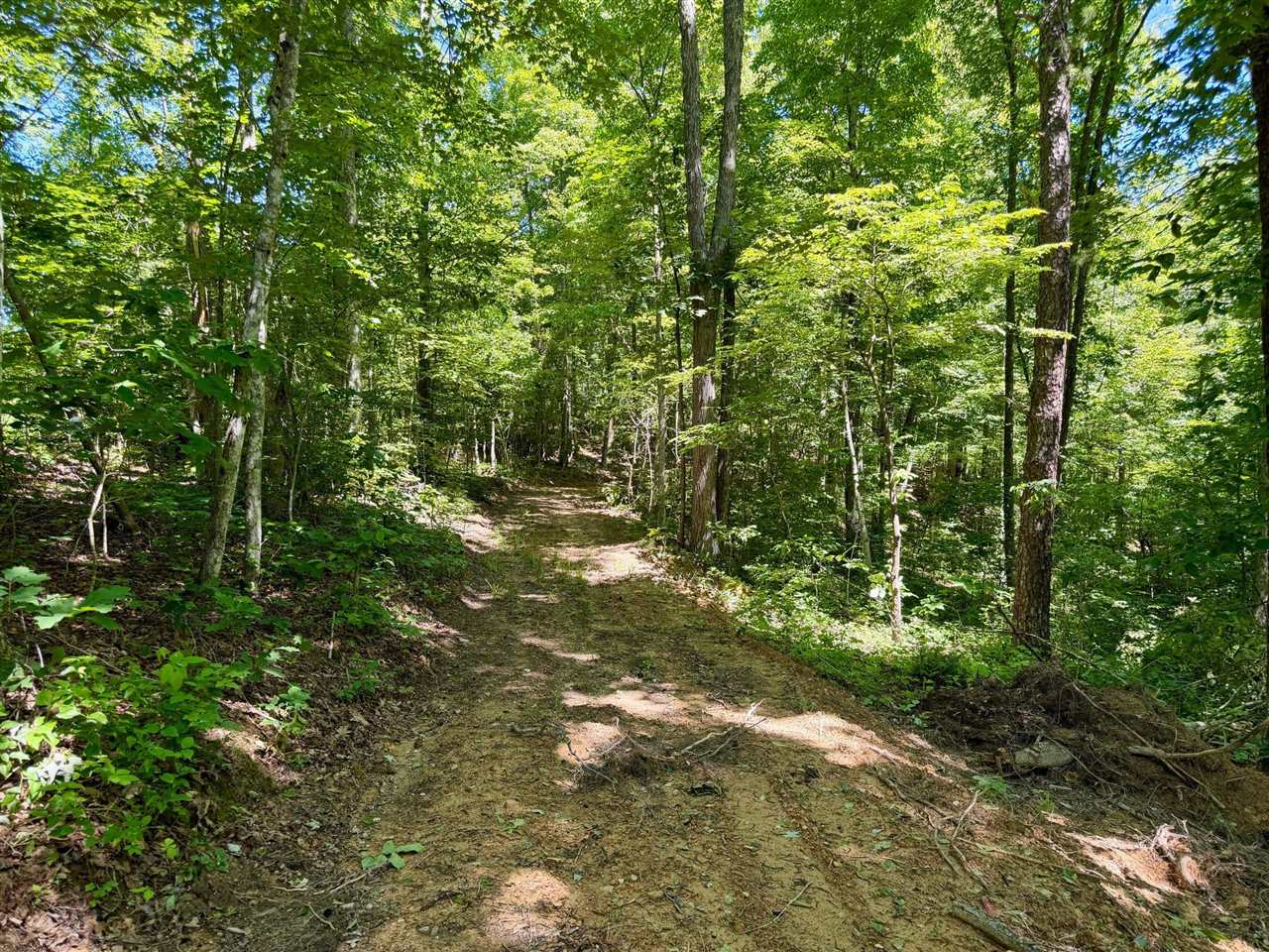 165a Open Fork Road Property Photo 49