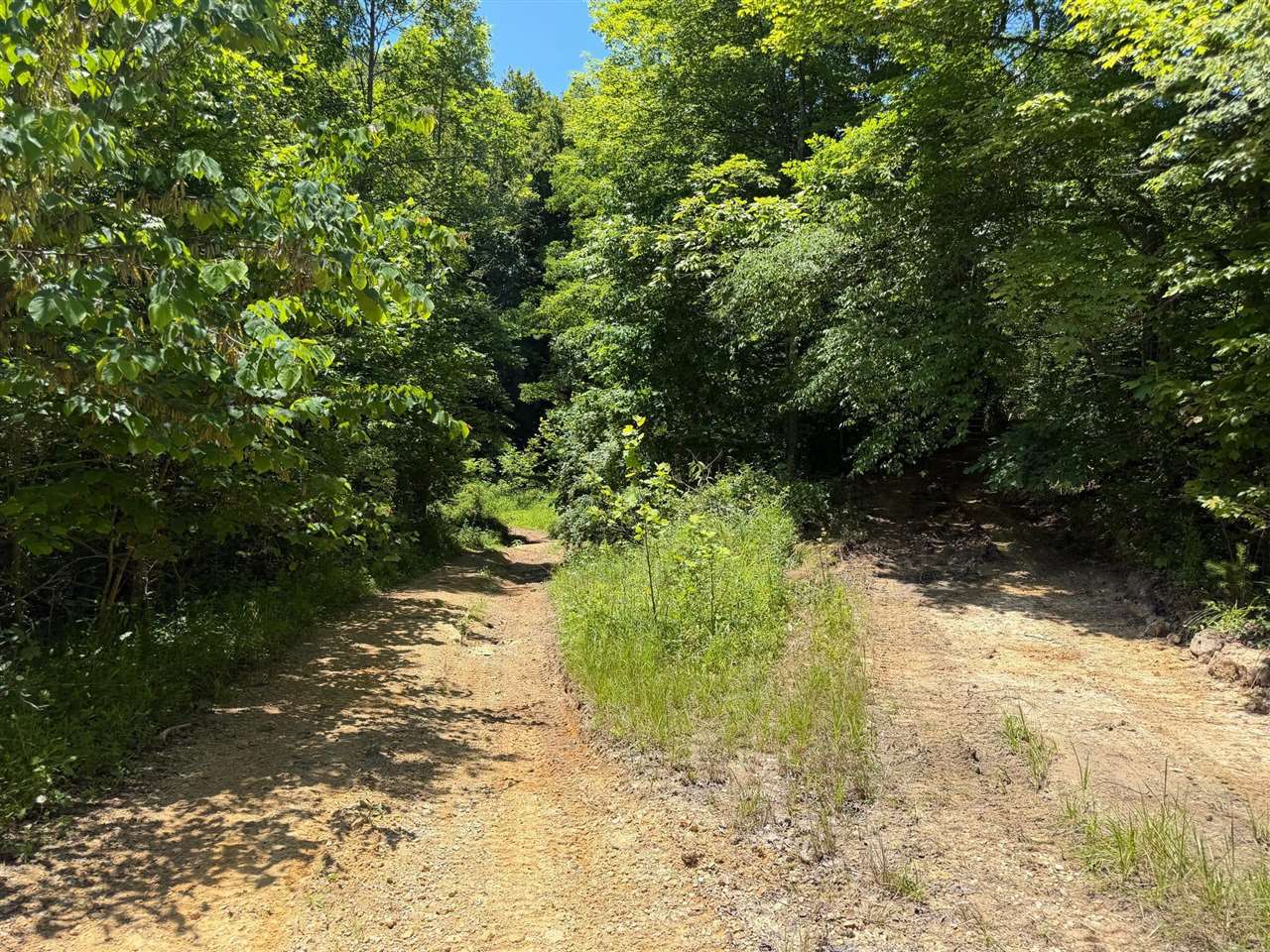 165a Open Fork Road Property Photo 50