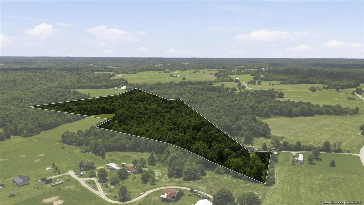 0 Sadler Road Property Photo 6