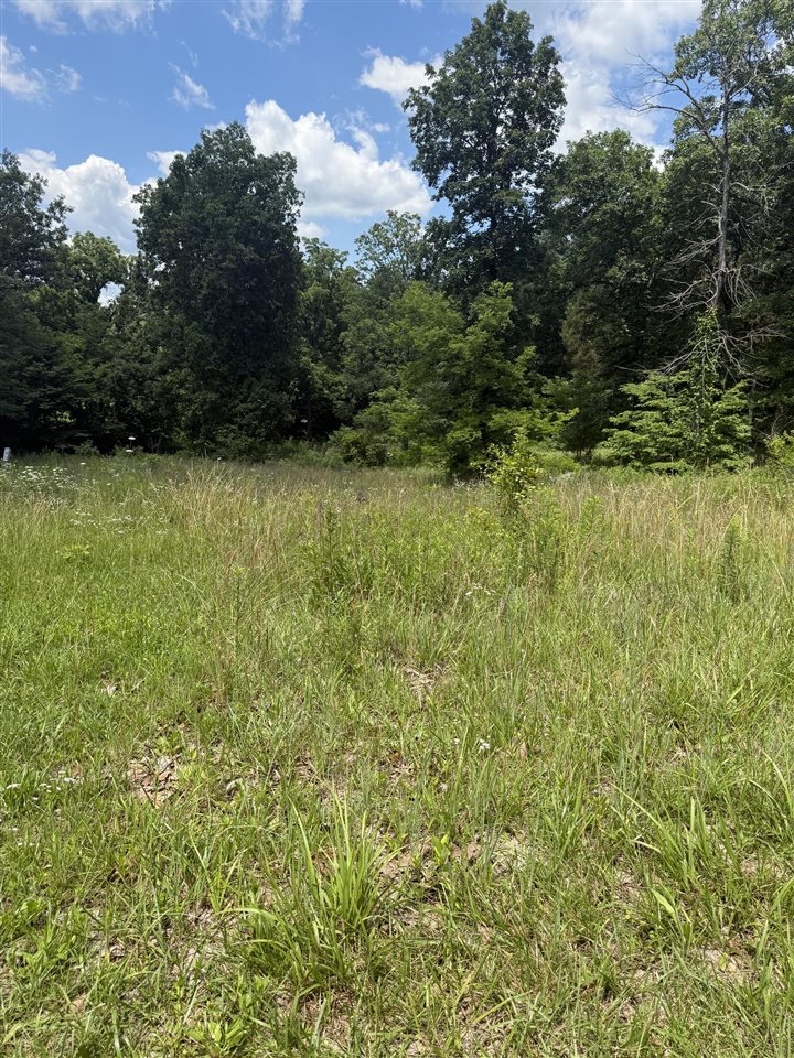 Lot 3 Pig Road