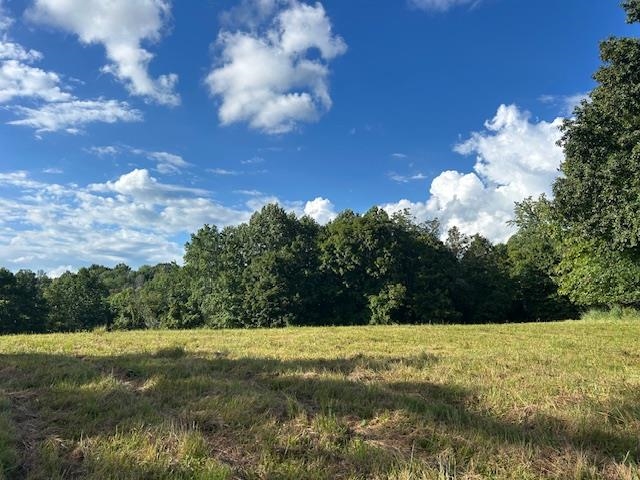 4620 Cedar Flat Curtis Road Property Photo 1