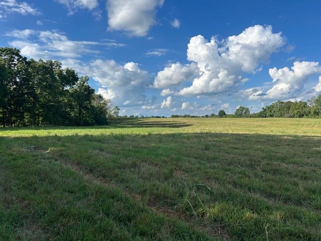 4620 Cedar Flat Curtis Road Property Photo 2