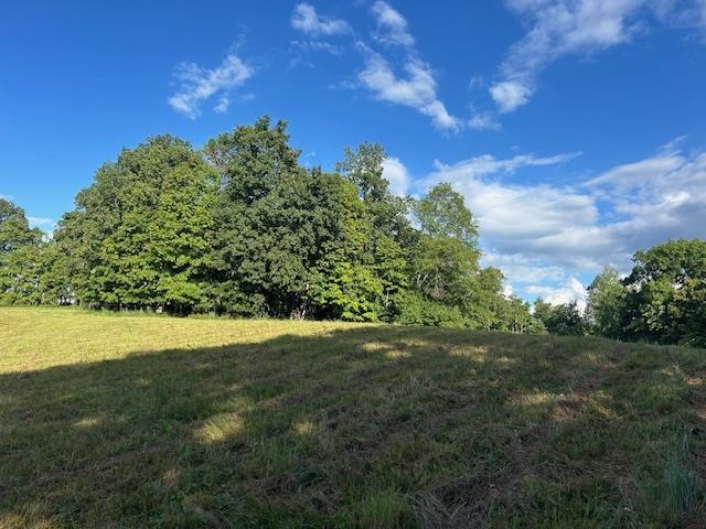 4620 Cedar Flat Curtis Road Property Photo 3