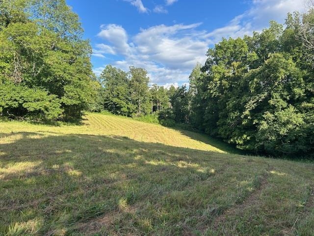 4620 Cedar Flat Curtis Road Property Photo 4