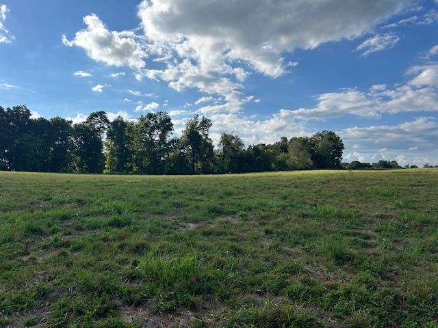 4620 Cedar Flat Curtis Road Property Photo 5