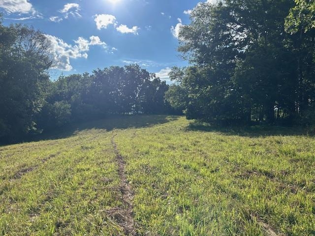 4620 Cedar Flat Curtis Road Property Photo 10