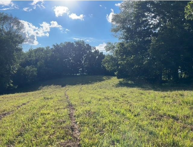 4620 Cedar Flat Curtis Road Property Photo 11