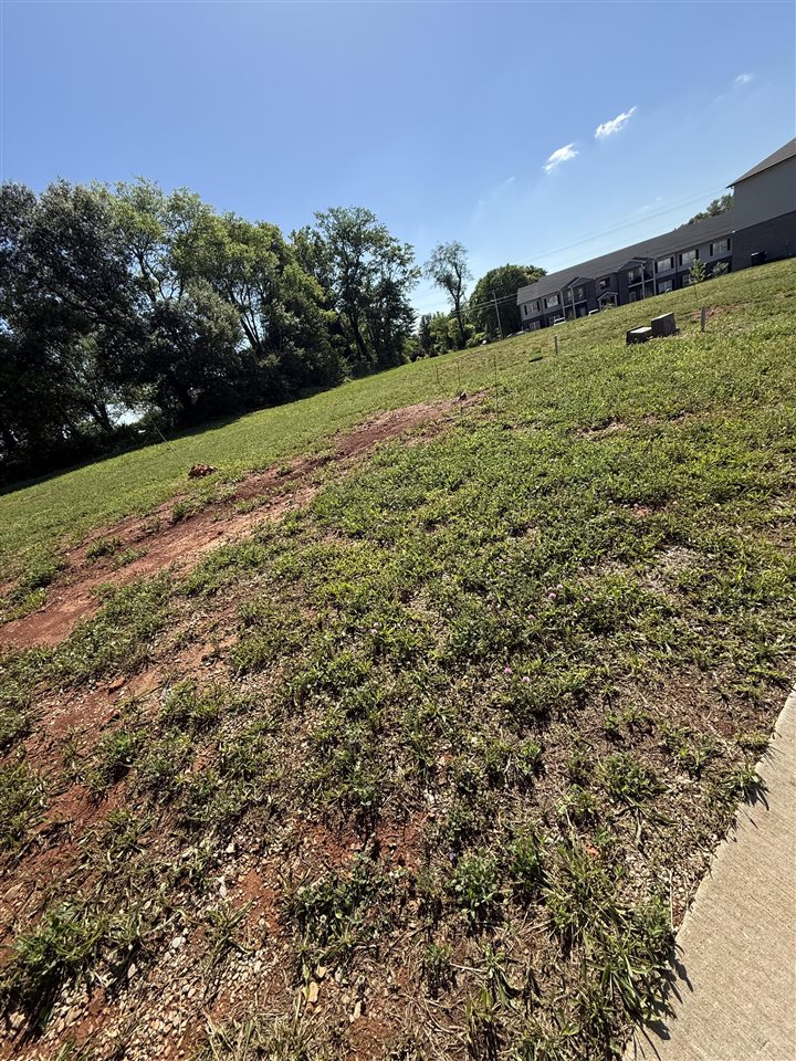 517 Yulan Circle Property Photo 1