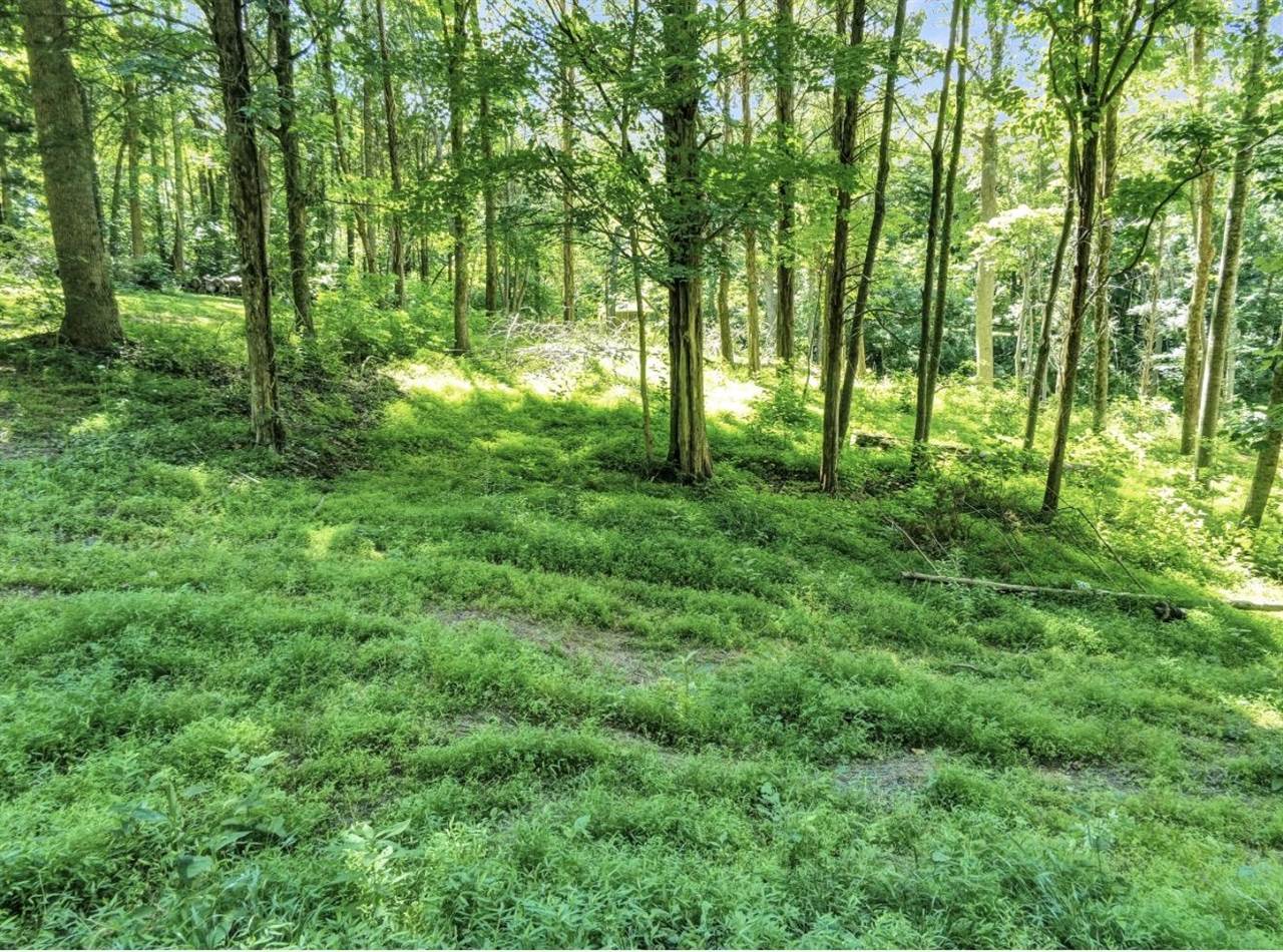 Lot 45a Walleye Way Property Photo 1