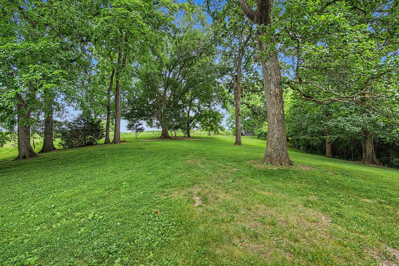 131 Moon Road Property Photo 33