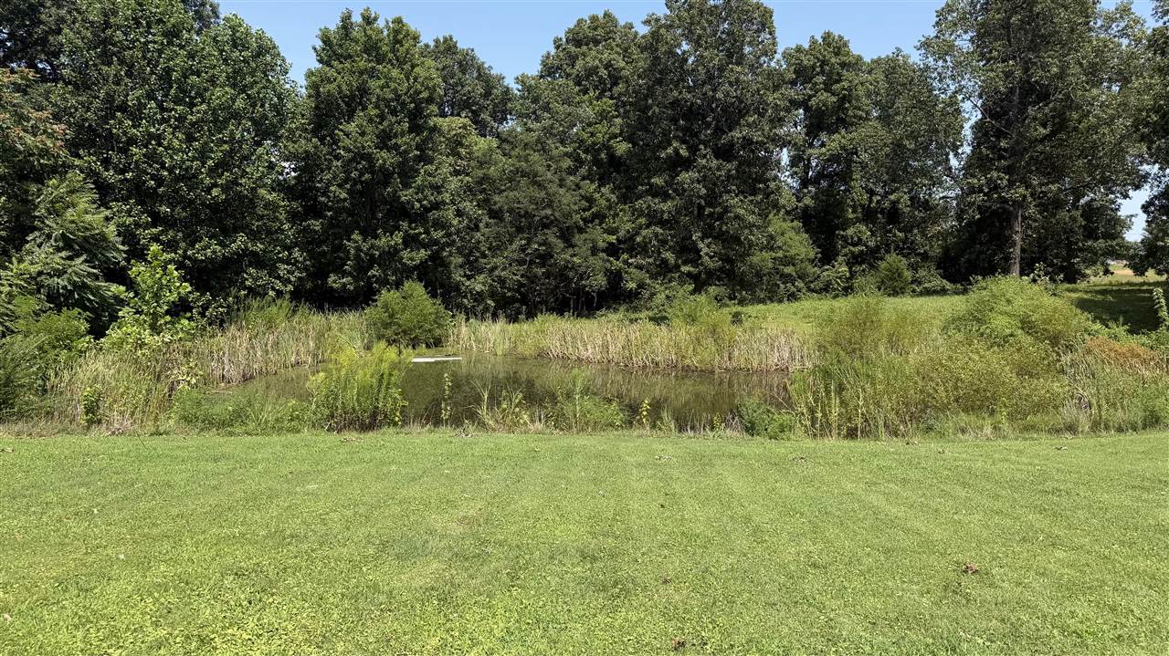 7910 Ky Hwy 259 N Property Photo 19