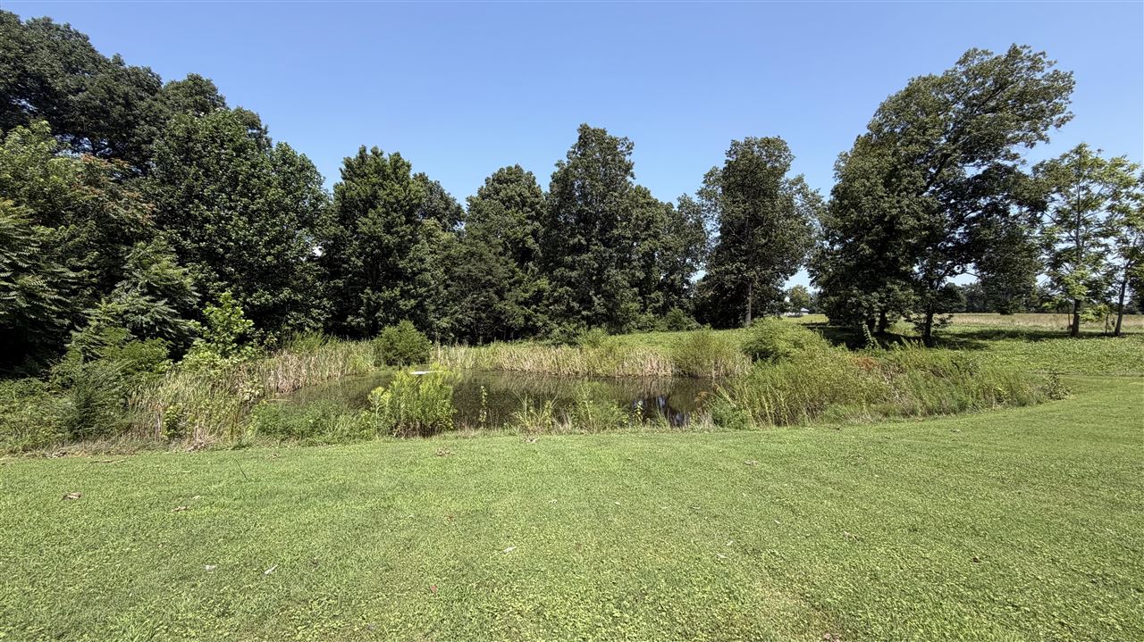 7910 Ky Hwy 259 N Property Photo 20