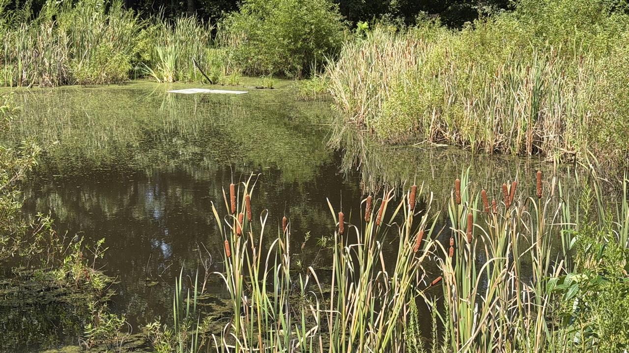 7910 Ky Hwy 259 N Property Photo 21
