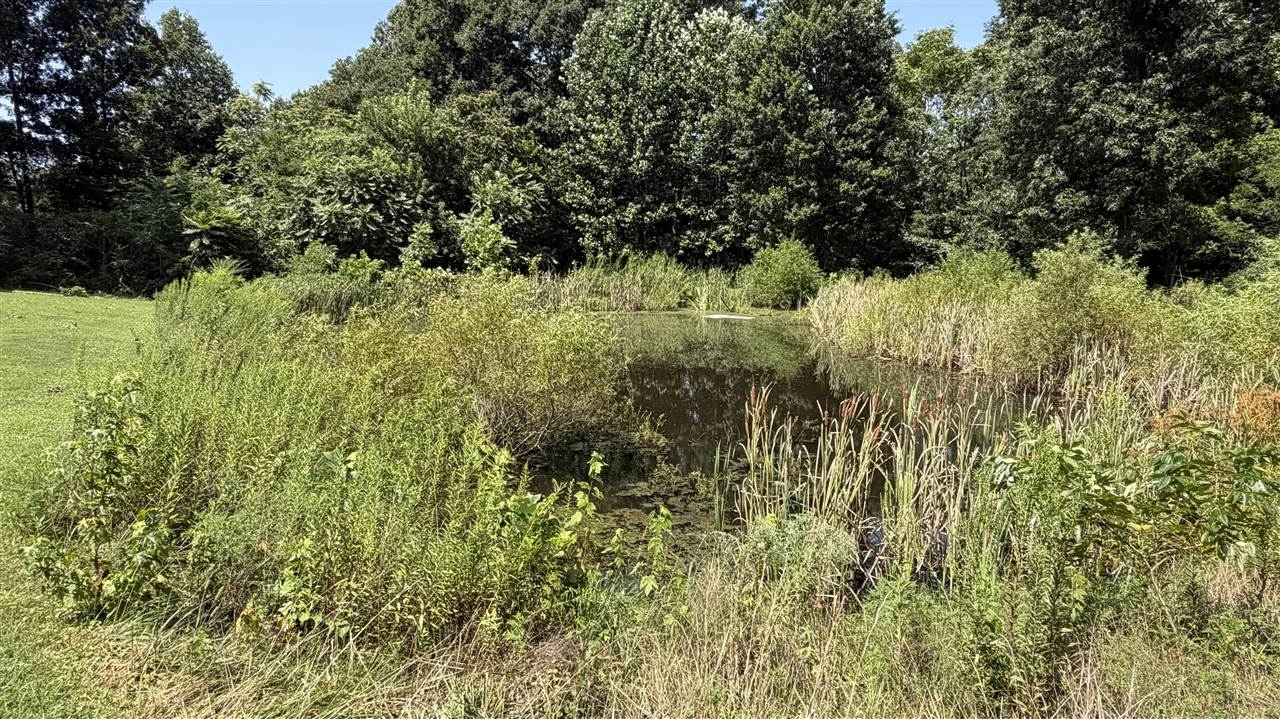 7910 Ky Hwy 259 N Property Photo 22
