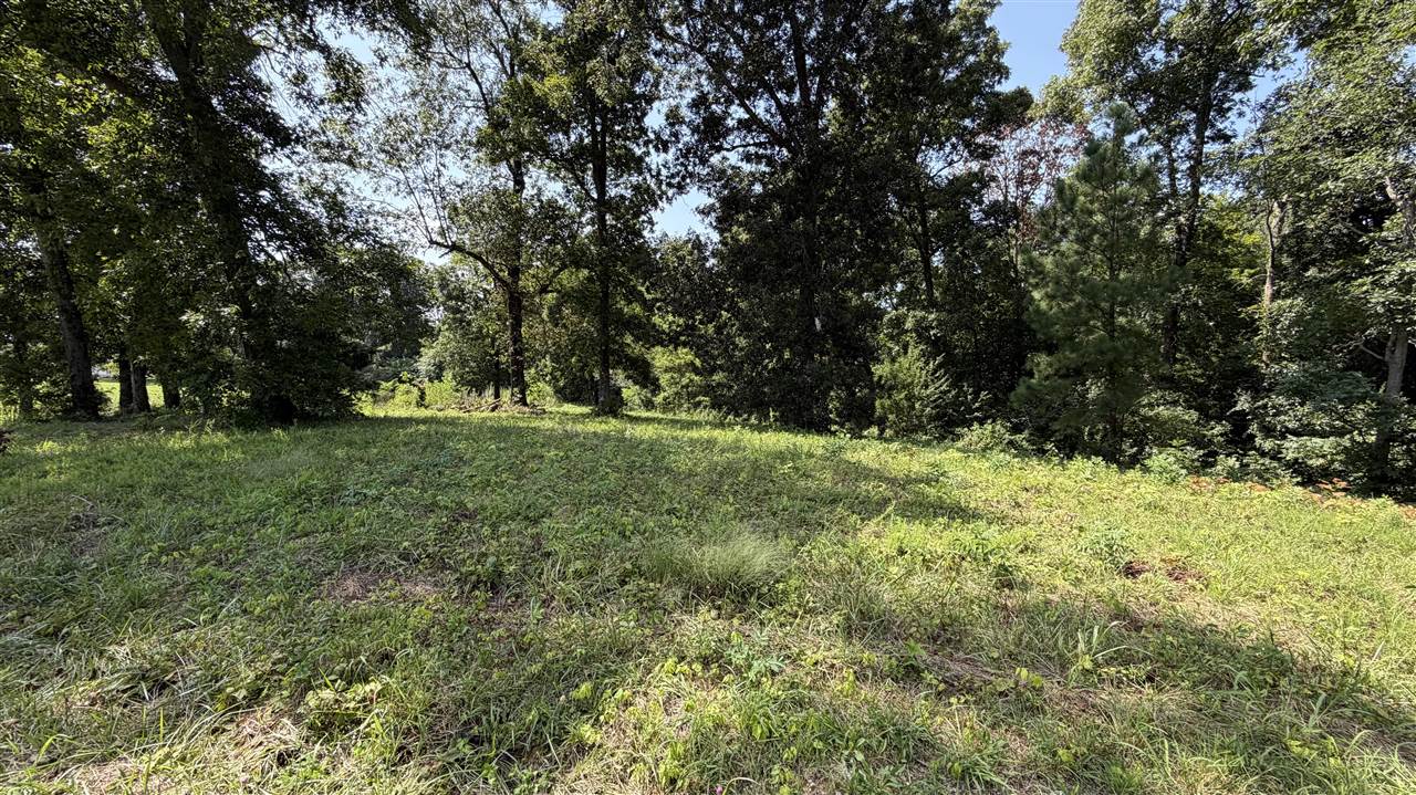 7910 Ky Hwy 259 N Property Photo 23