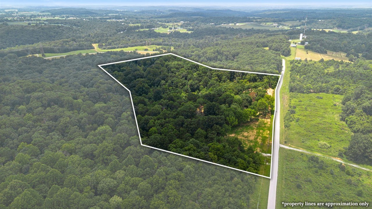 595 Malone Farm Lane