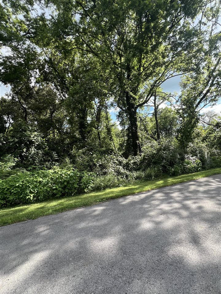 Lot 40 Widener Circle Property Photo 1