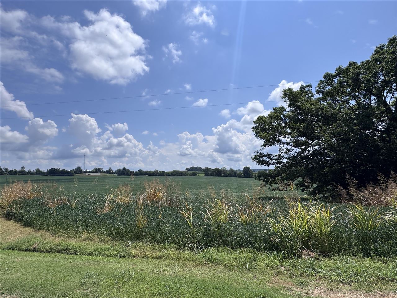 Lot 15 Britt Mill Road Property Photo 1