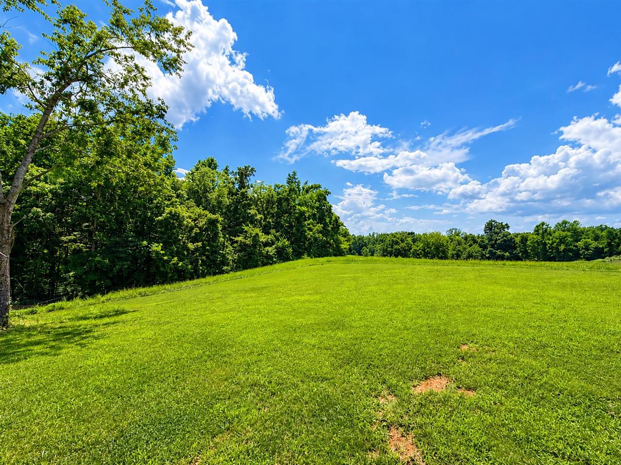 1199 Flat Rock Road Property Photo 13