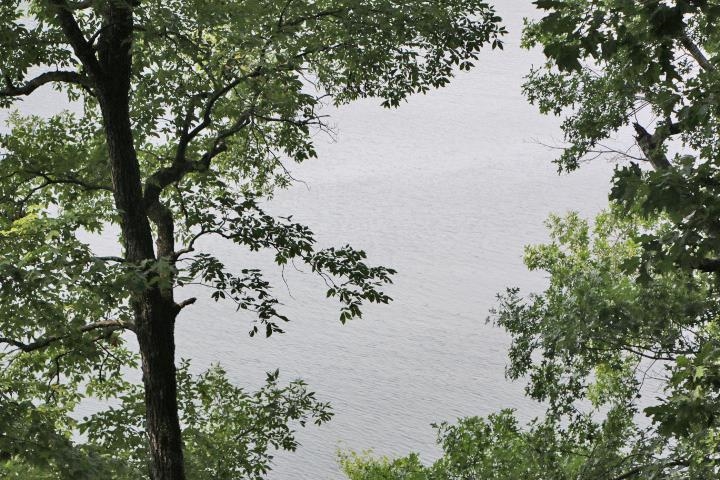 79 Shoreline Circle Property Photo 2