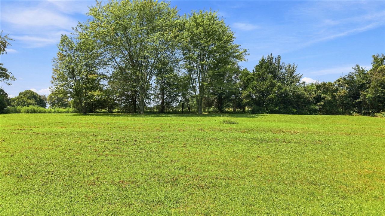 171 Cropper Road Property Photo 23
