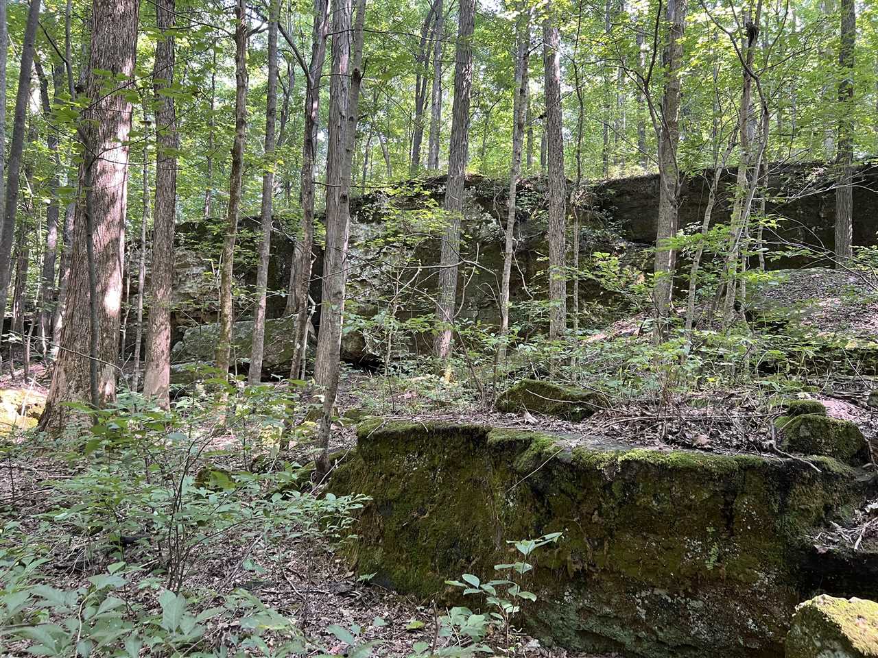 2869 N State Route 654 Property Photo 1