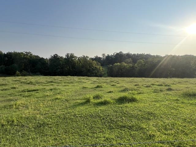 0 Wilkerson Road Property Photo 5