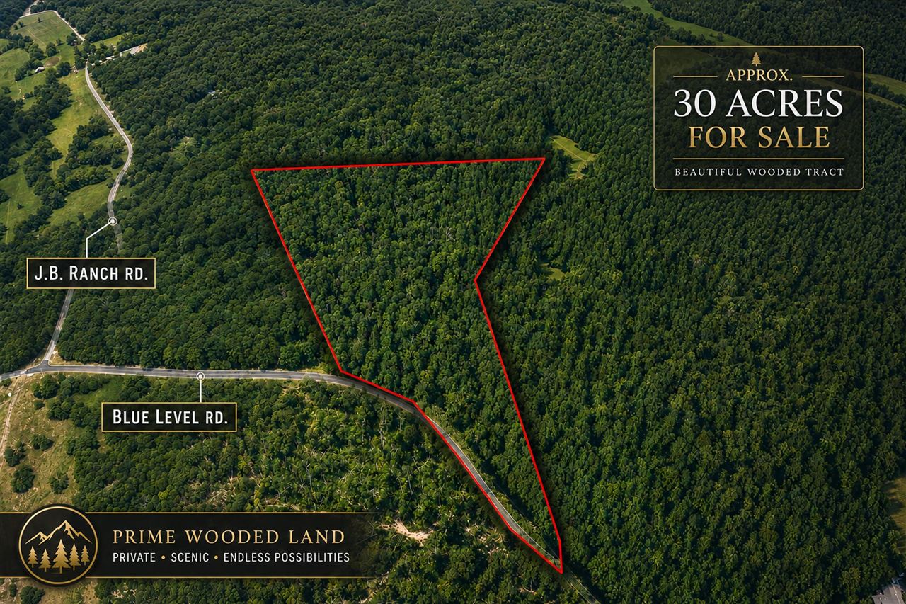0 Blue Level Road Property Photo 1