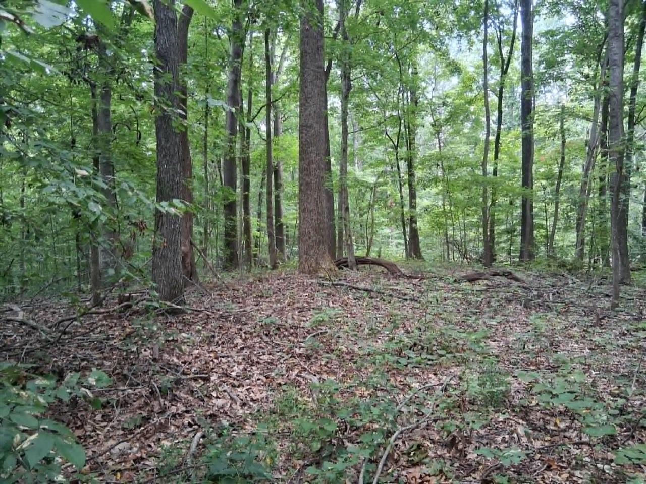 Ac Subtle Road Property Photo 6