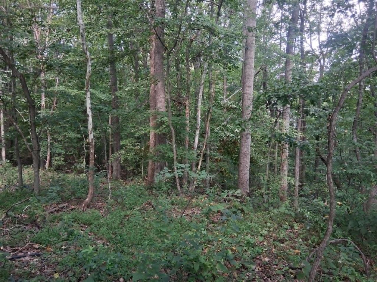 Ac Subtle Road Property Photo 7