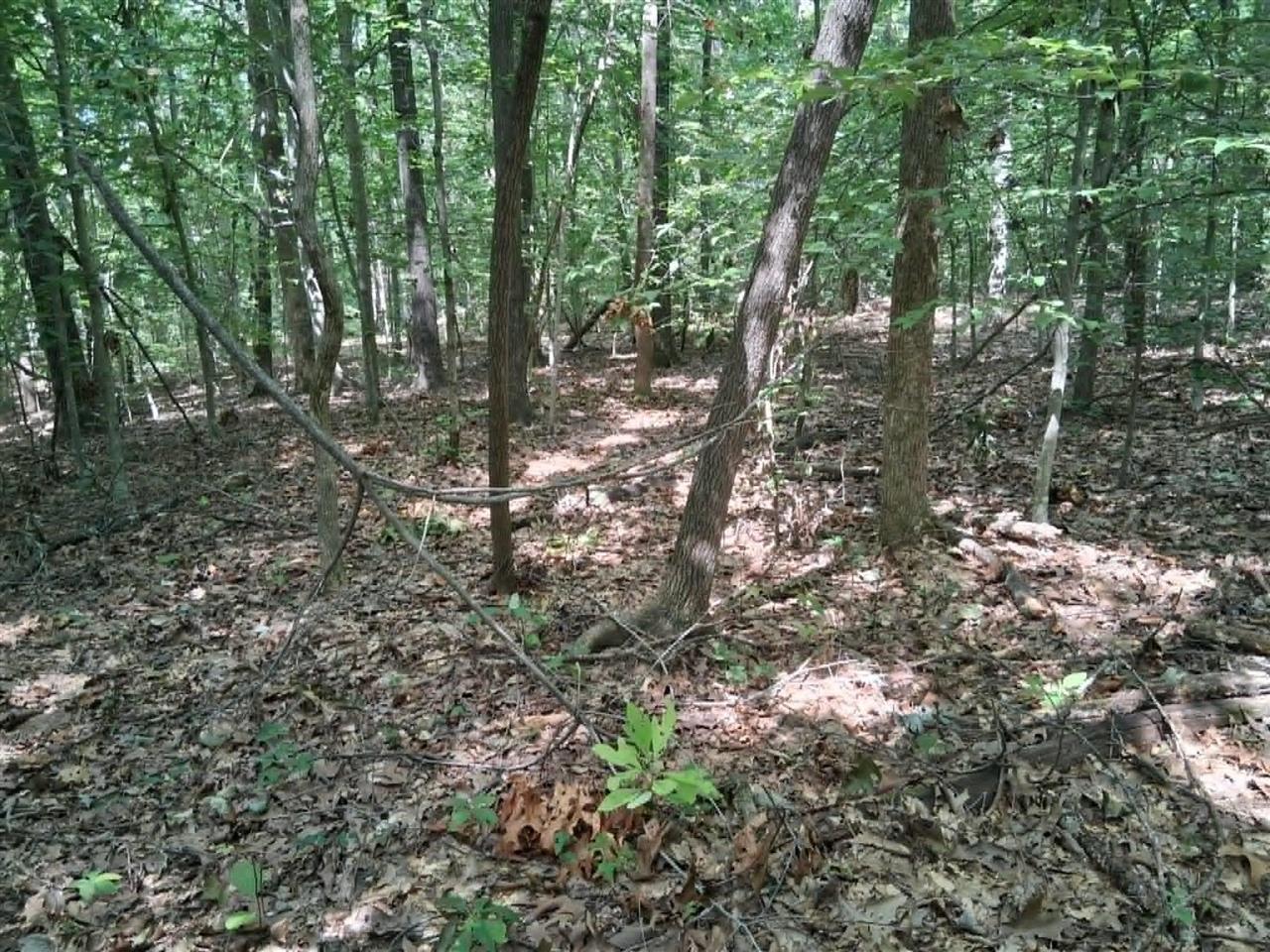Ac Subtle Road Property Photo 9