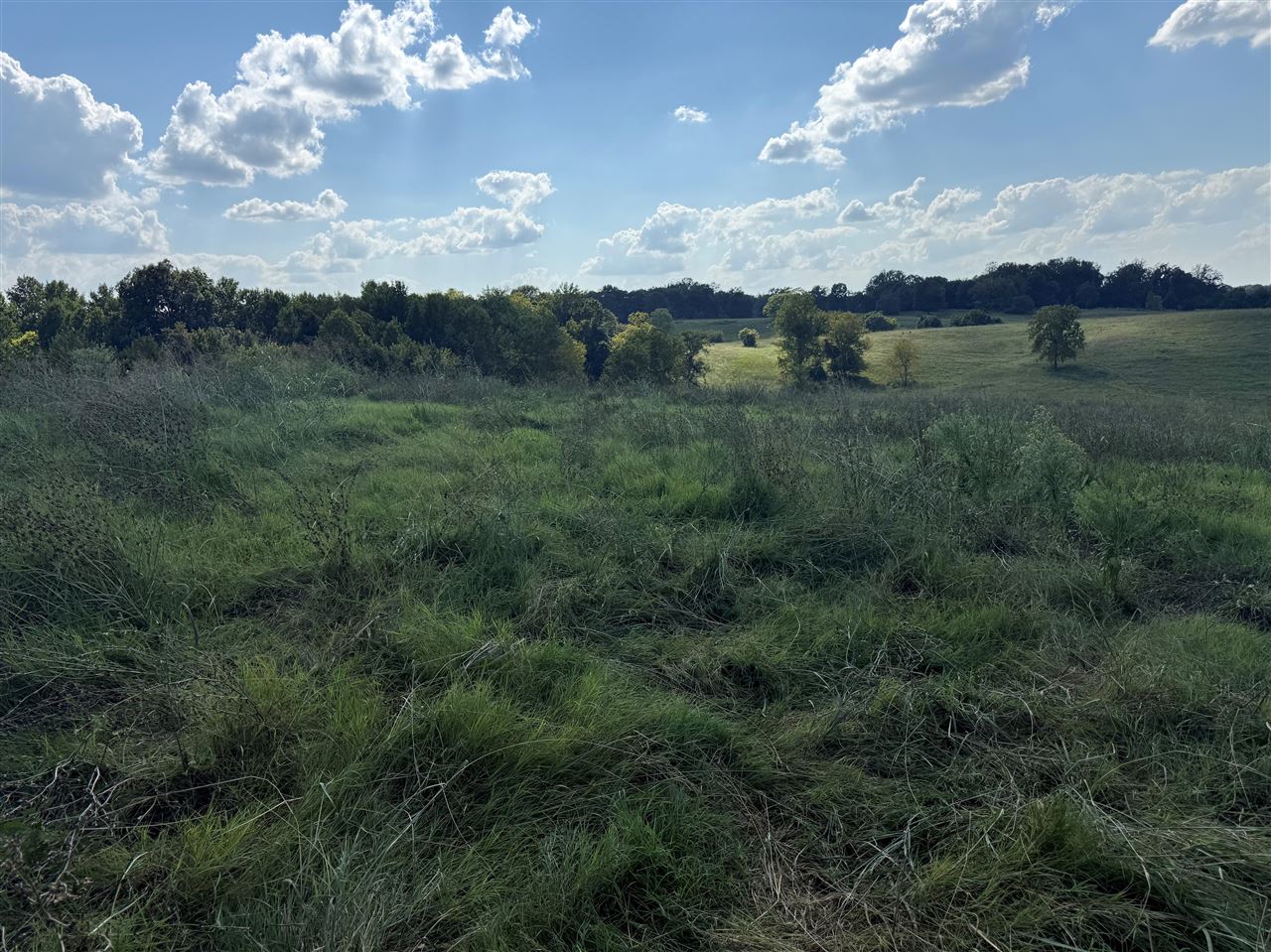 Lot 9 Conatser Road Property Photo 1