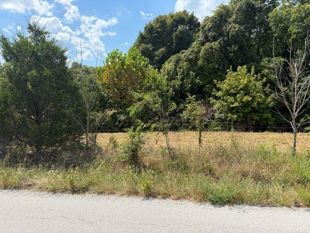 Lot 2 Richardsville Road Property Photo 5